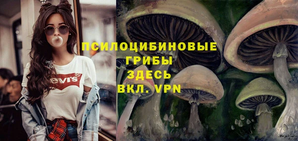 кокс Абаза