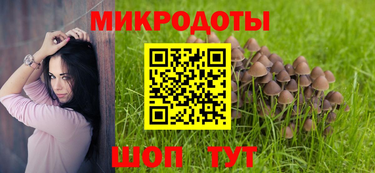Псилоцибиновые грибы Psilocybe  Вход с VPN  Красноармейск 